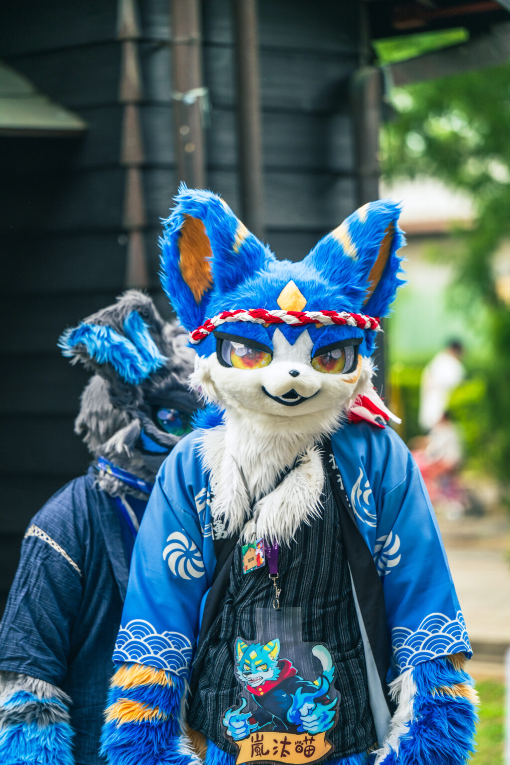 54451612389_733d9c145b_o