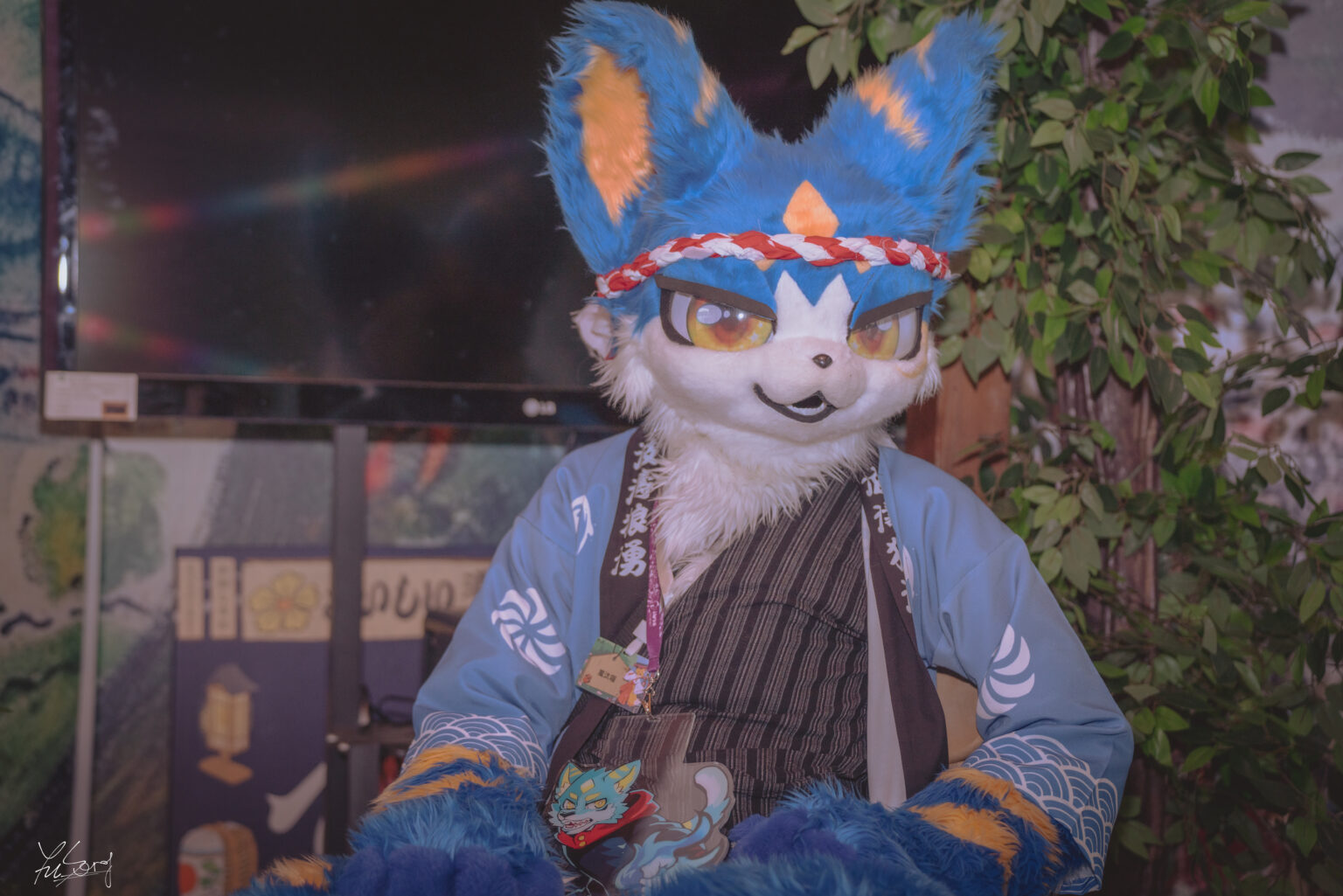 54458554259_c45eccdddb_o